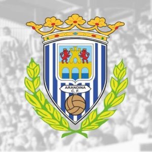 Lee más sobre el artículo Arandina C.F.