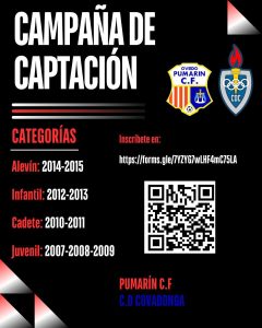 Lee más sobre el artículo ¿Quieres formar parte de la estructura deportiva del Pumarin C.F – C.D. Covadonga?